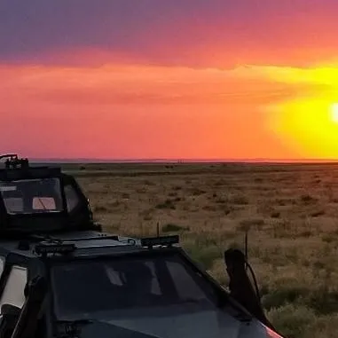 chat with ai character: TIV 2/тив 2