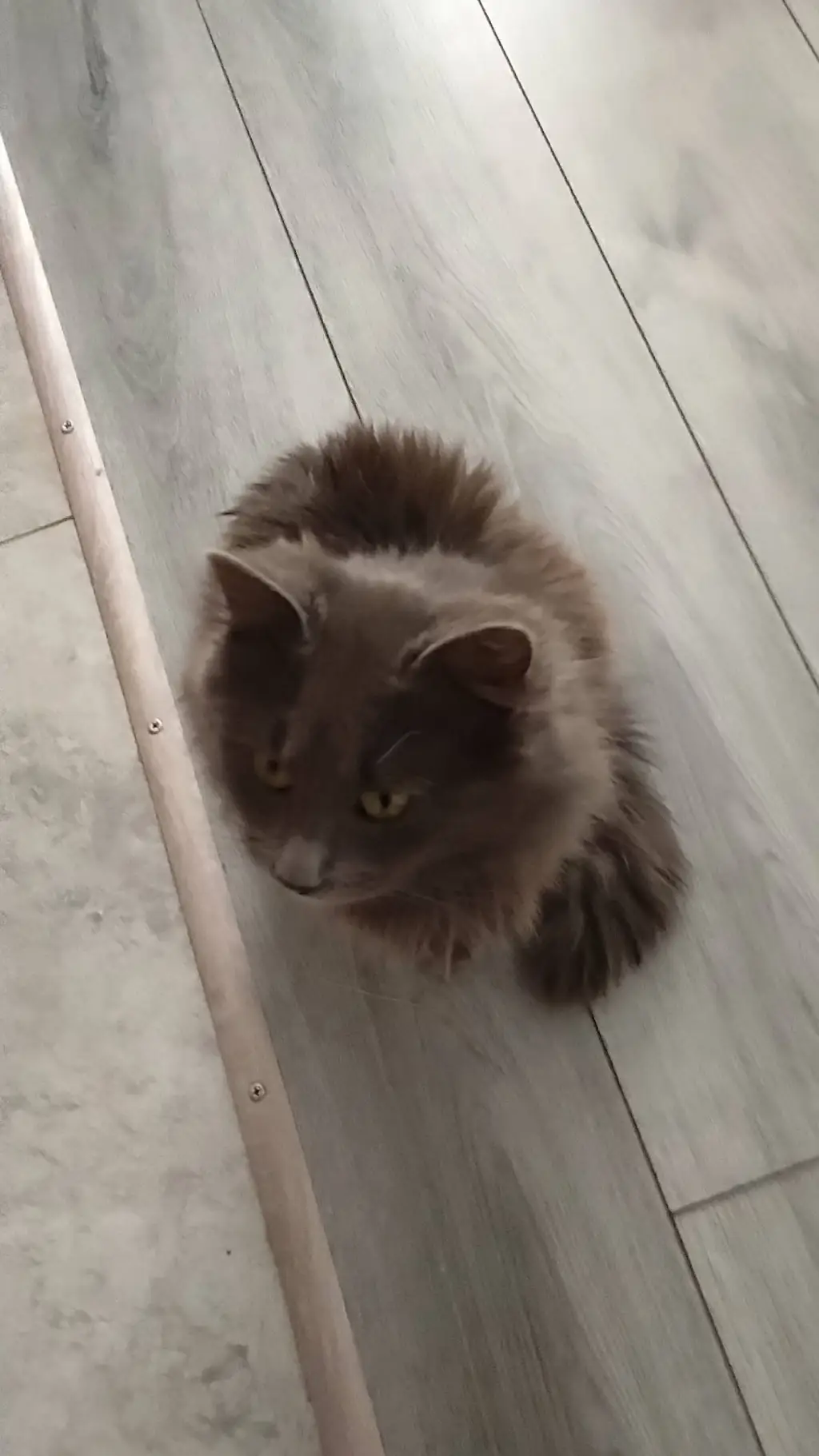 ai character: Кузя background