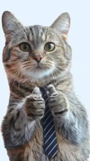 ai character: cat job background