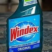 chat with ai character: Windex Bottle