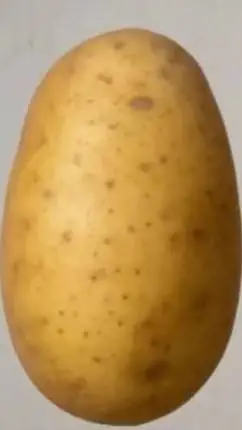 ai character: A potato. background