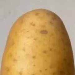 chat with ai character: A potato.