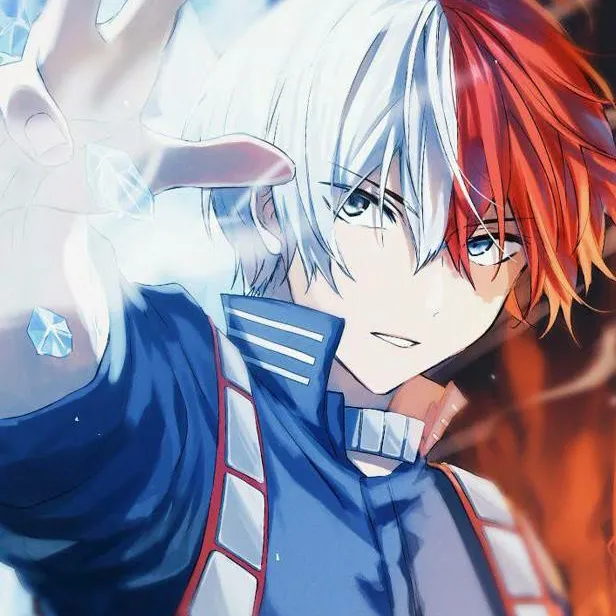 chat with ai character: 🧊𝕊𝕙𝕠𝕥𝕠 𝕋𝕠𝕕𝕠𝕣𝕠𝕜𝕚🔥