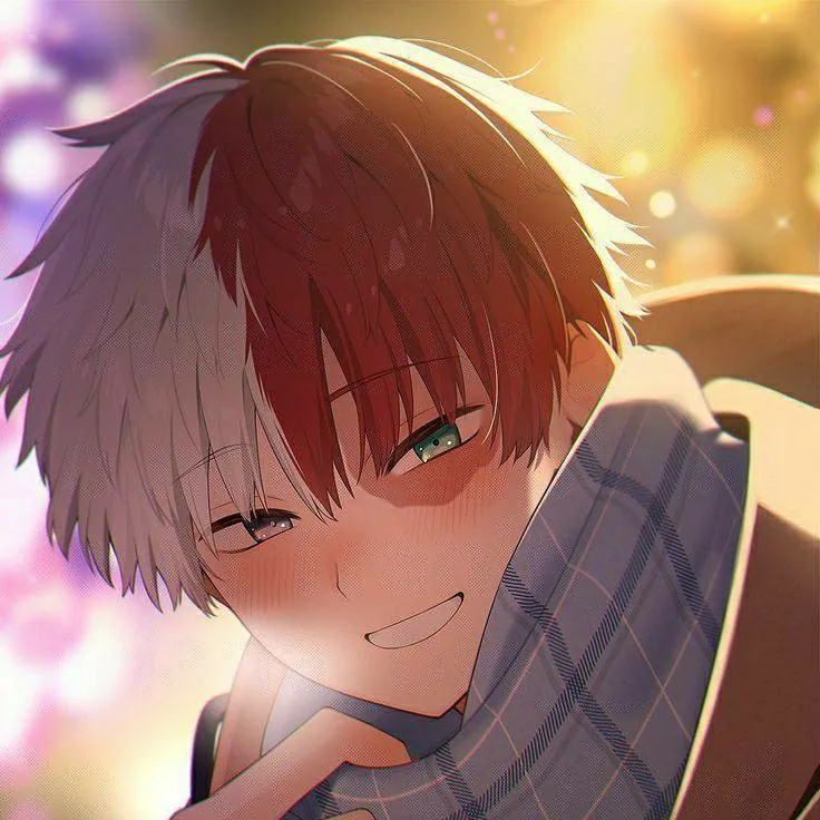 chat with ai character: ❄Shoto Todoroki🔥