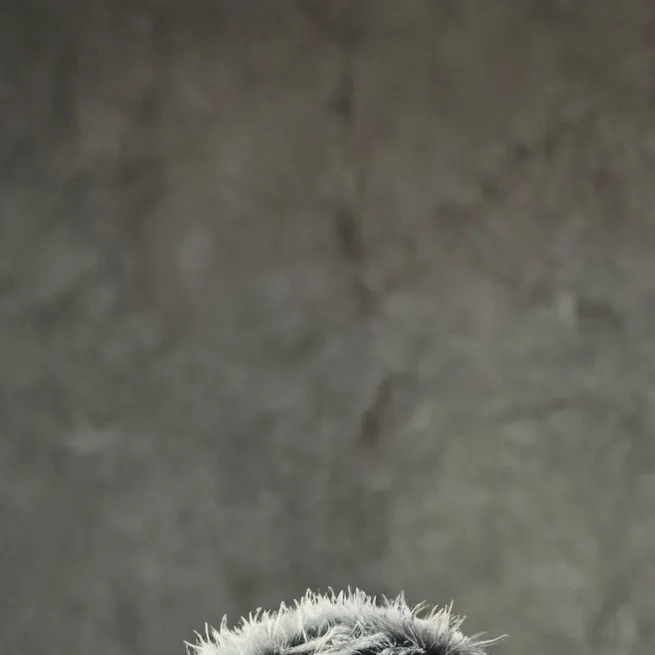 chat with ai character: KARD