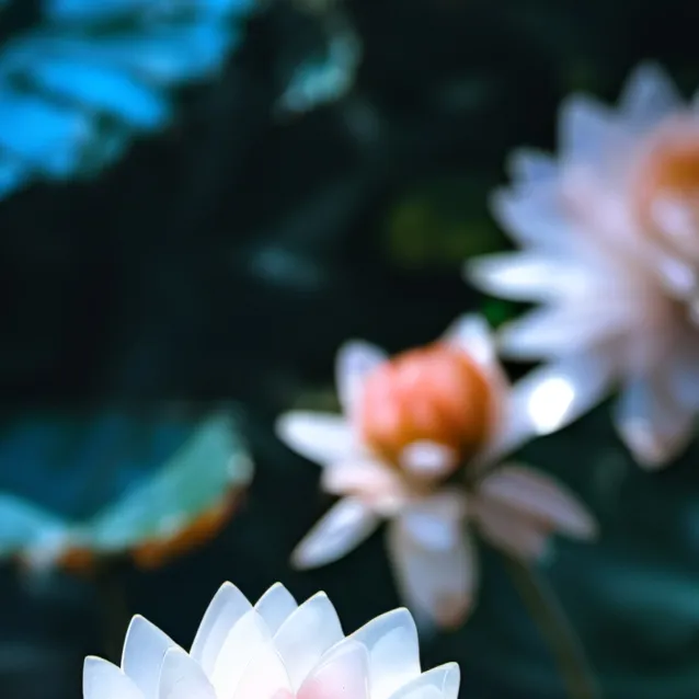 chat with ai character: mha 5 anos