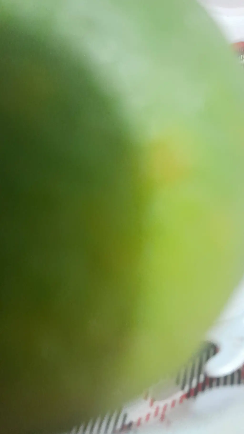 ai character: laranja verde background