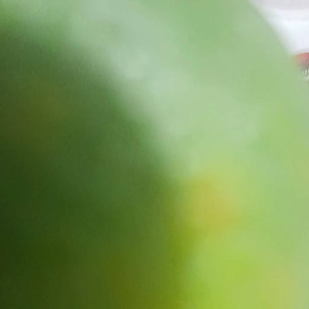 chat with ai character: laranja verde