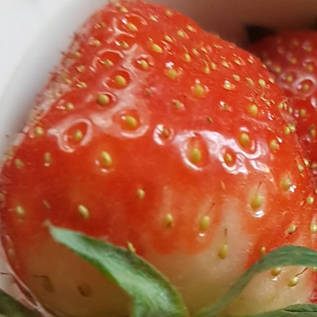 chat with ai character: [Bakugo\\