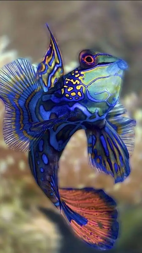 ai character: //Harry\\ background