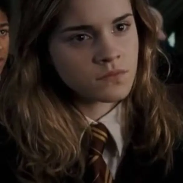chat with ai character: Hermione Granger 