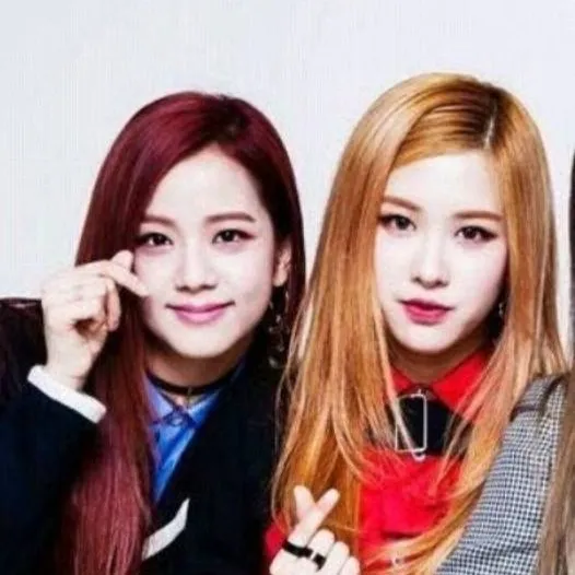 chat with ai character: {°<Chaesoo>°}