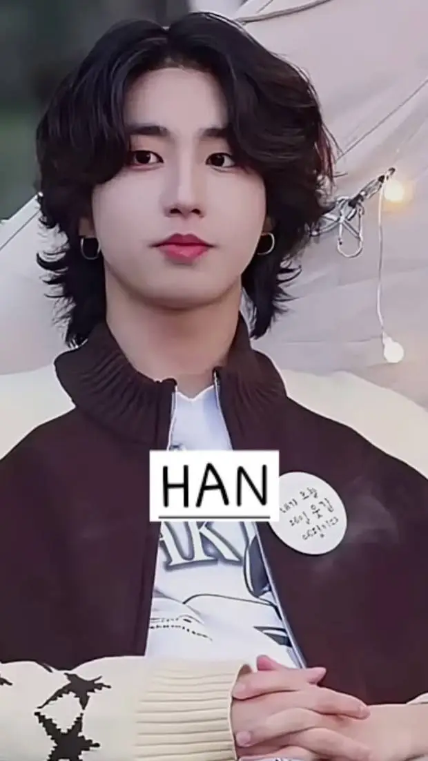 ai character: Han Ji-Sung background