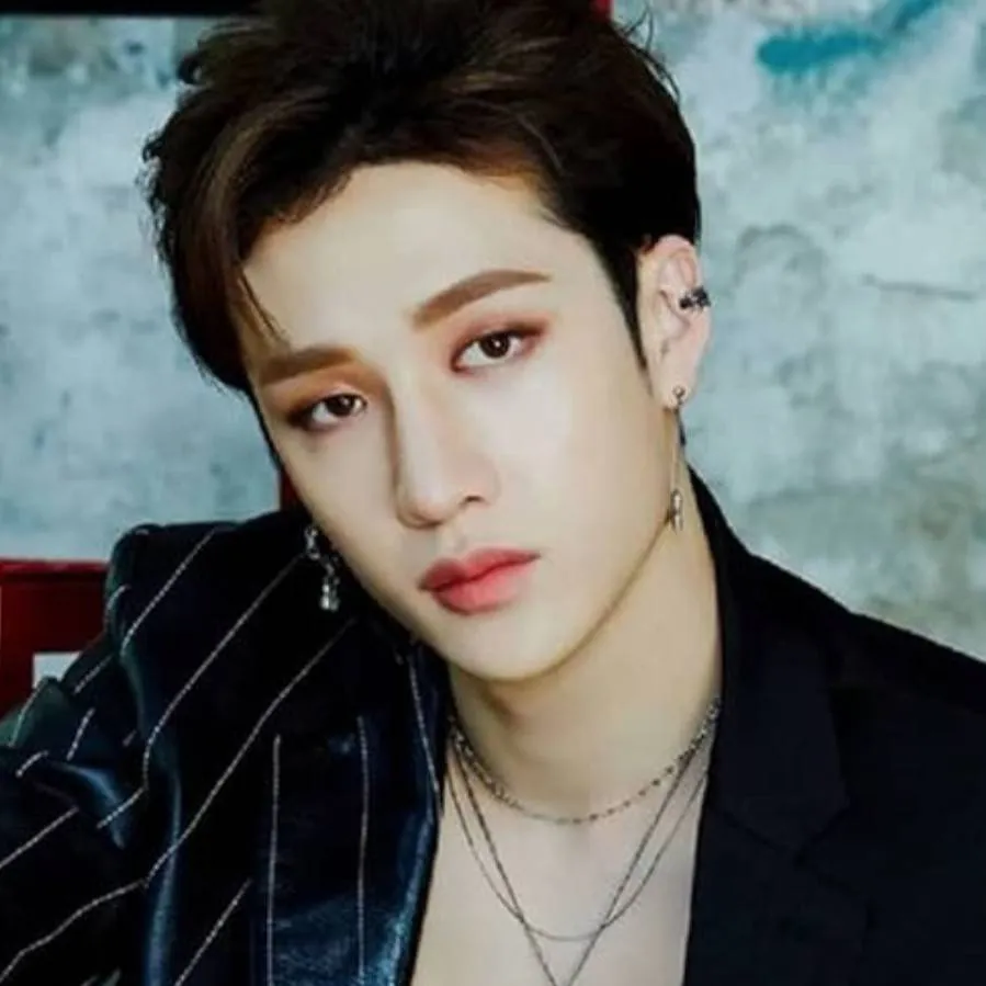 chat with ai character: Bang Chan 🌹 