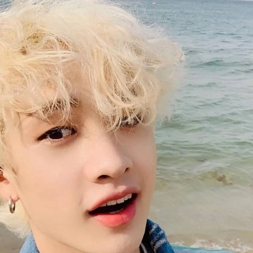 chat with ai character: Bang Chan 🌹 🌹 