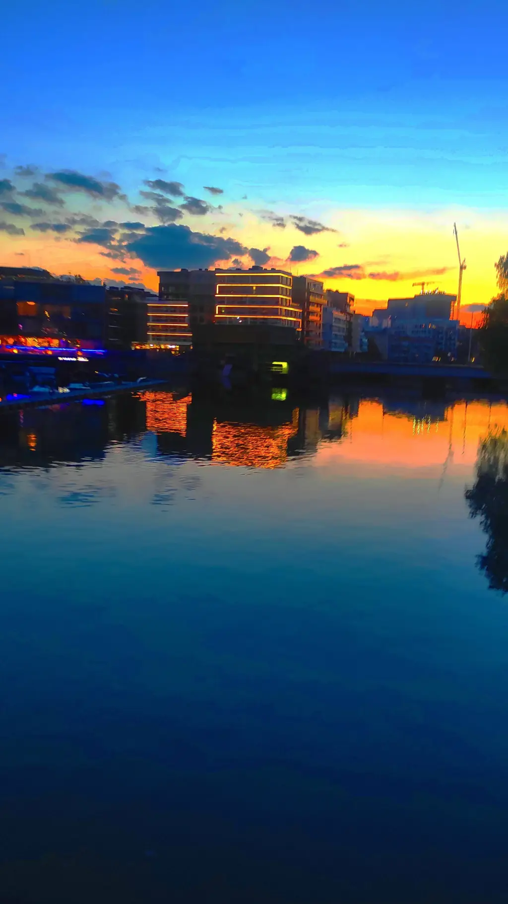 ai character: ANYTHING YUO WANT background