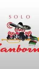 ai character: solo sarborns  background