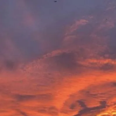 chat with ai character: {𝘙𝘦𝘲𝘶𝘦𝘴𝘵𝘴}