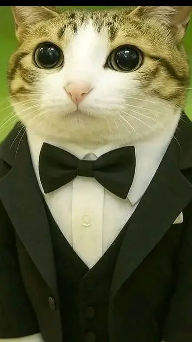 ai character: котосова background