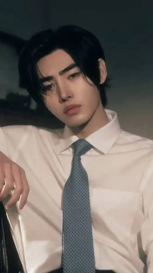 ai character: Sunghoon background