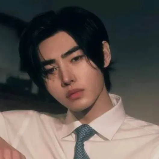 chat with ai character: Sunghoon