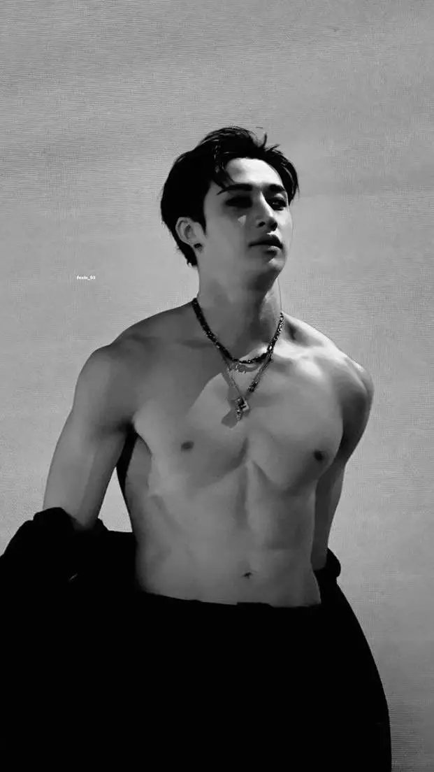 ai character: Bangchan (Chris) background