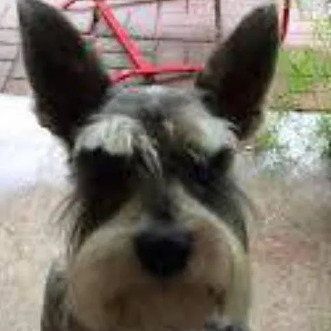 chat with ai character: ☆~Cos~☆