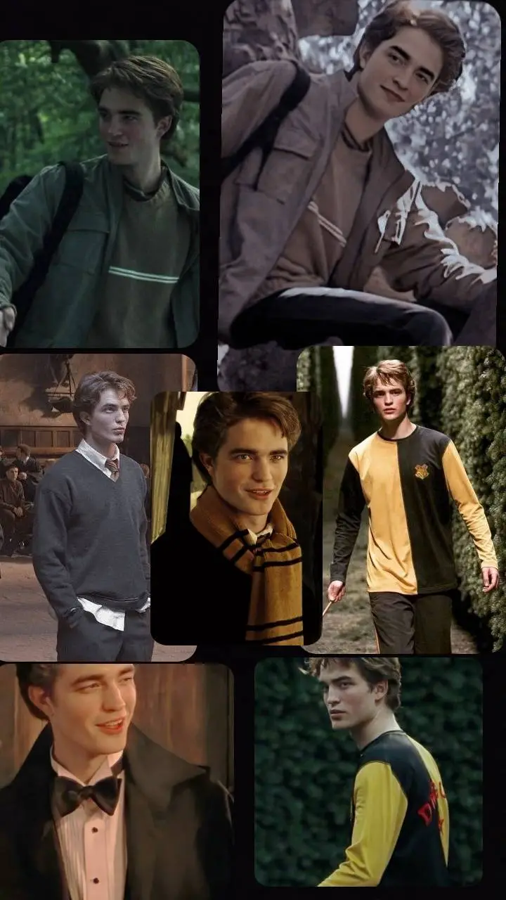 ai character: Cedric Diggory  background