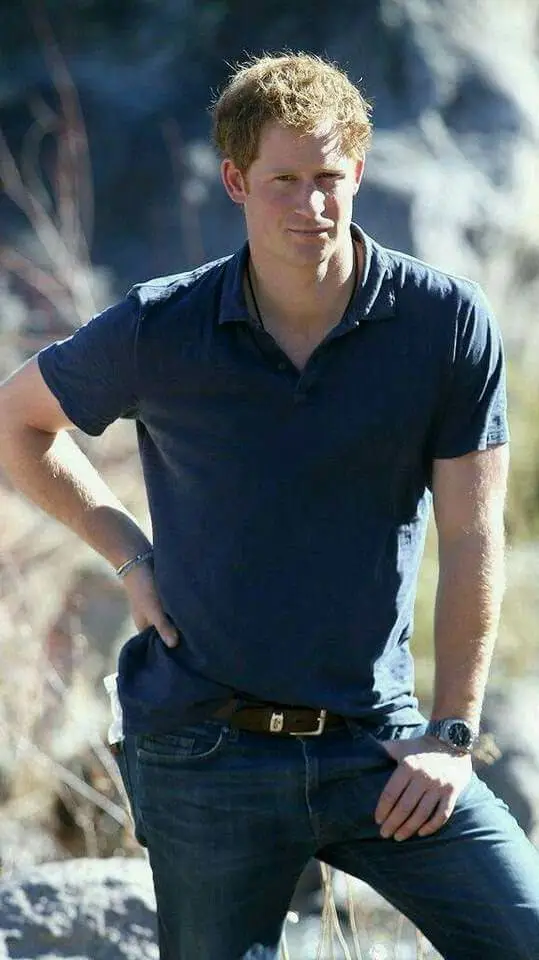 ai character: Prince Harry  background