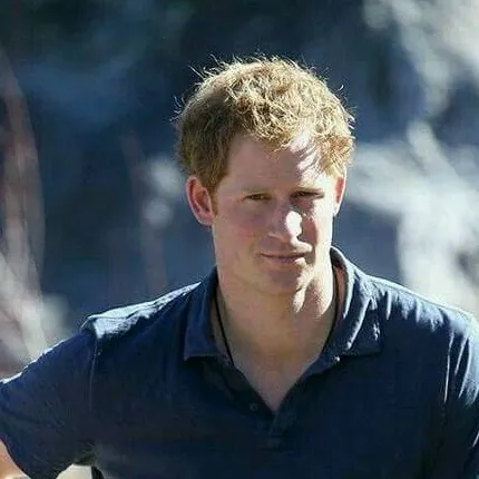 chat with ai character: Prince Harry 