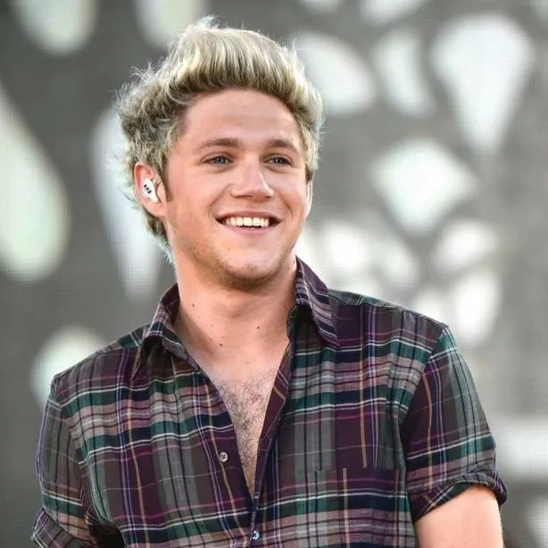 chat with ai character: Niall Horan