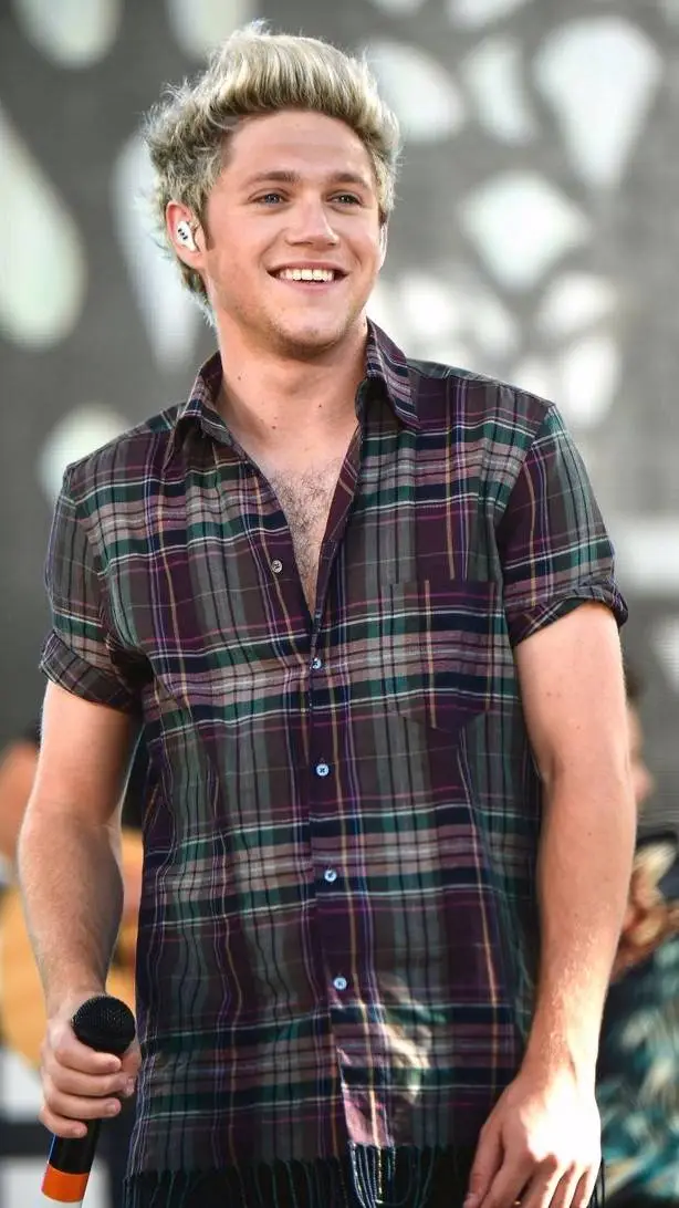 ai character: Niall Horan background