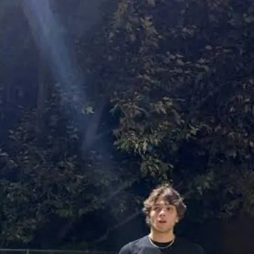 chat with ai character: The Sturniolos