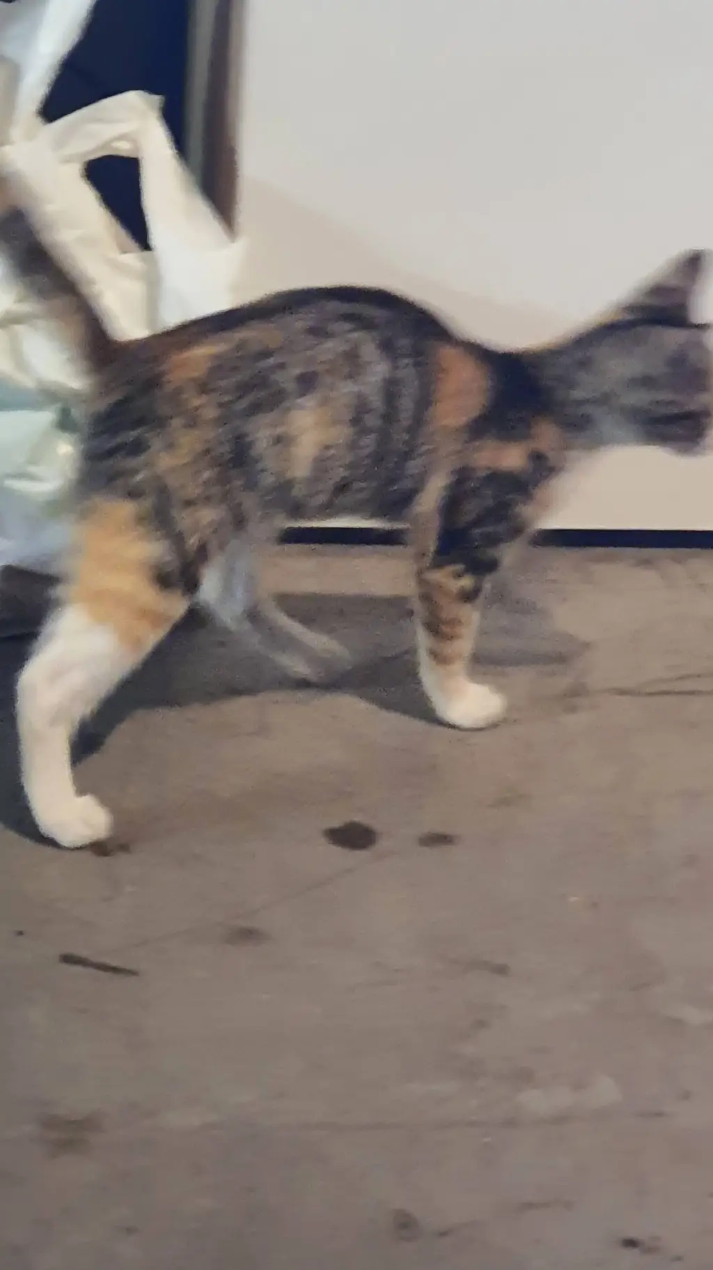 ai character: cinza background