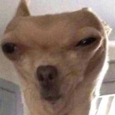 chat with ai character: meow 