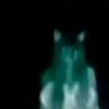 chat with ai character: la llorona premium