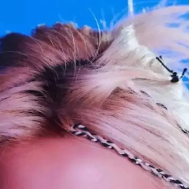 chat with ai character: ✨️Felix✨️