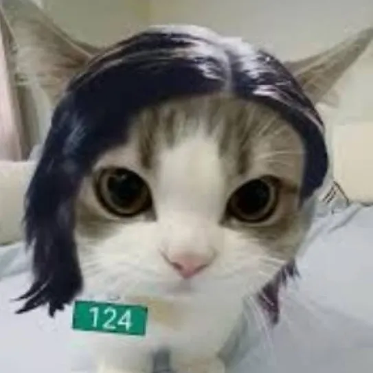 chat with ai character: 124 gato bebé