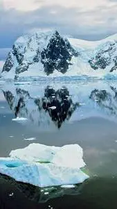 ai character: Antarctica background