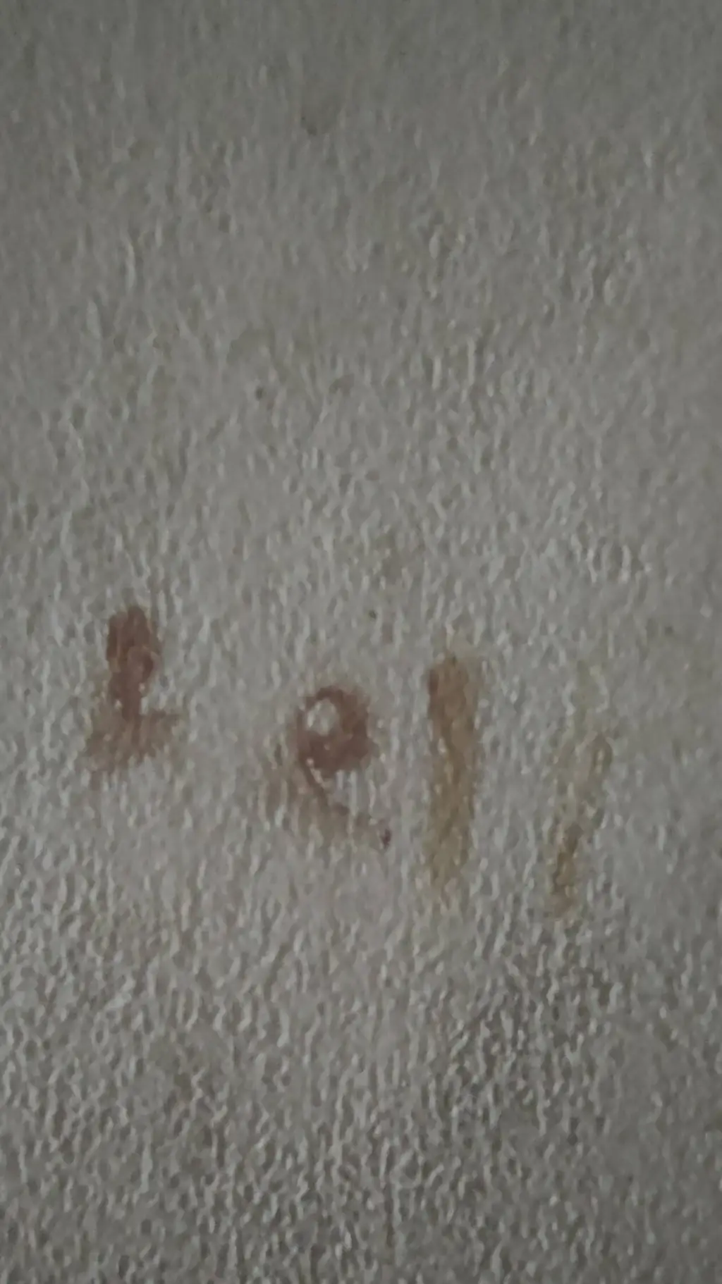 ai character: the hunting  background