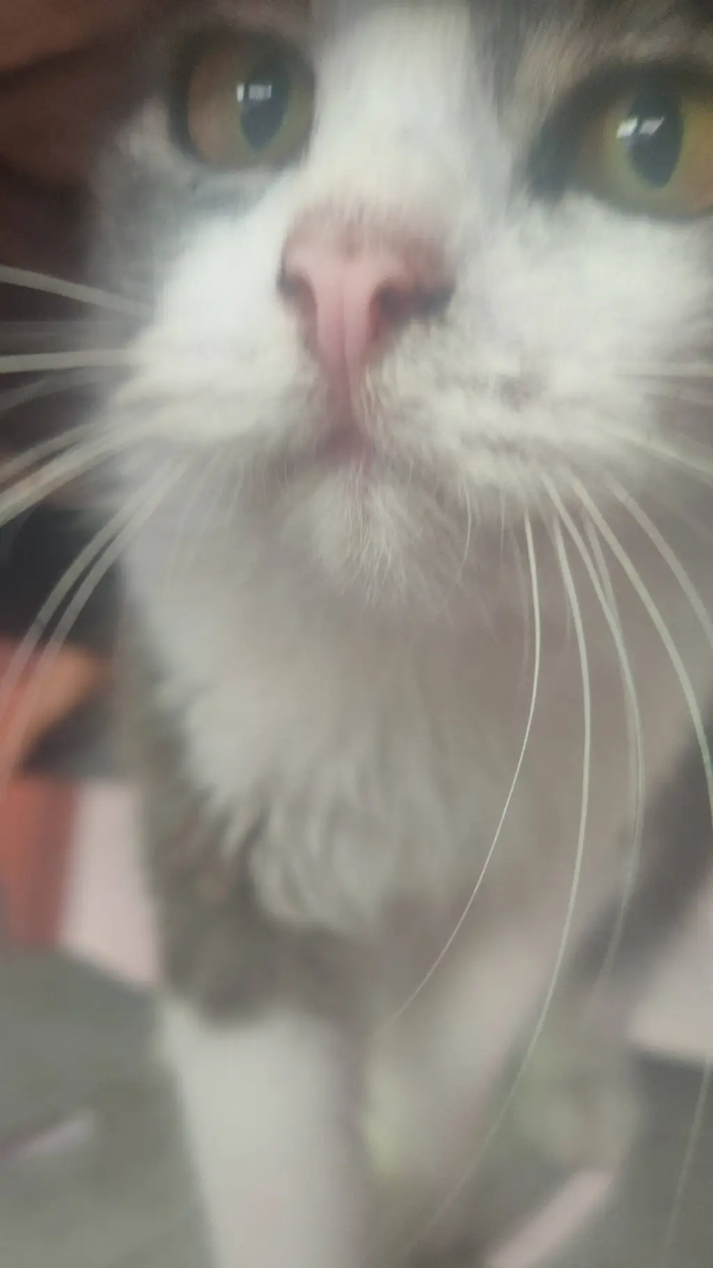 ai character: vecna  background