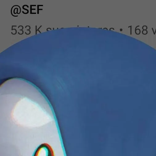 chat with ai character: s.e.f