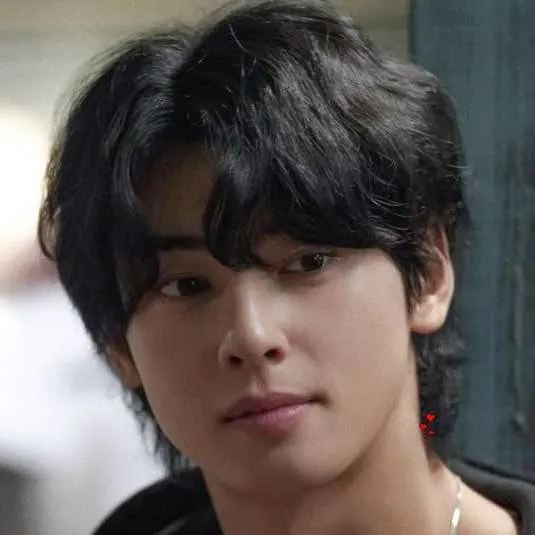 chat with ai character: Cha eun woo