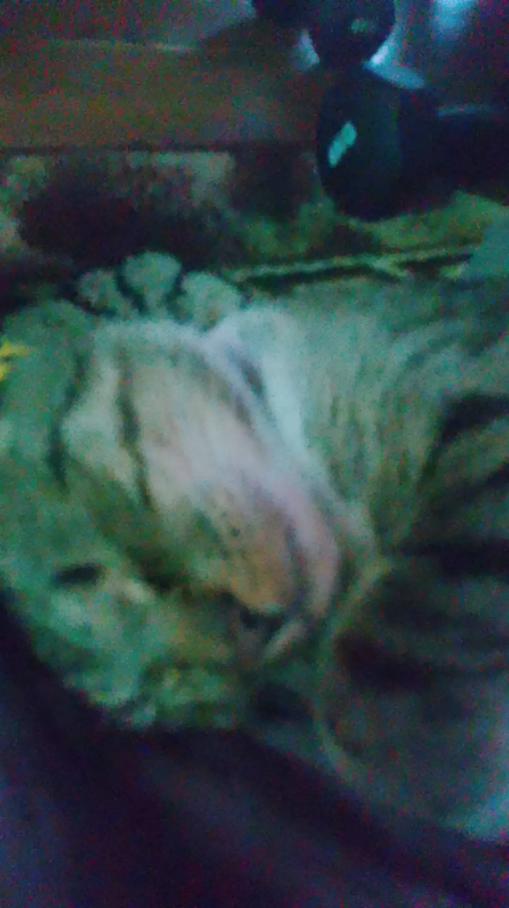 ai character: [†] background