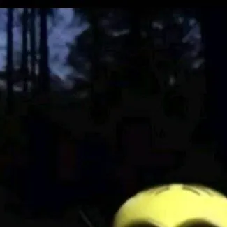chat with ai character: minion meme