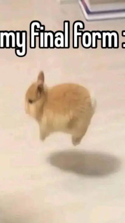 ai character: Sth.exe background