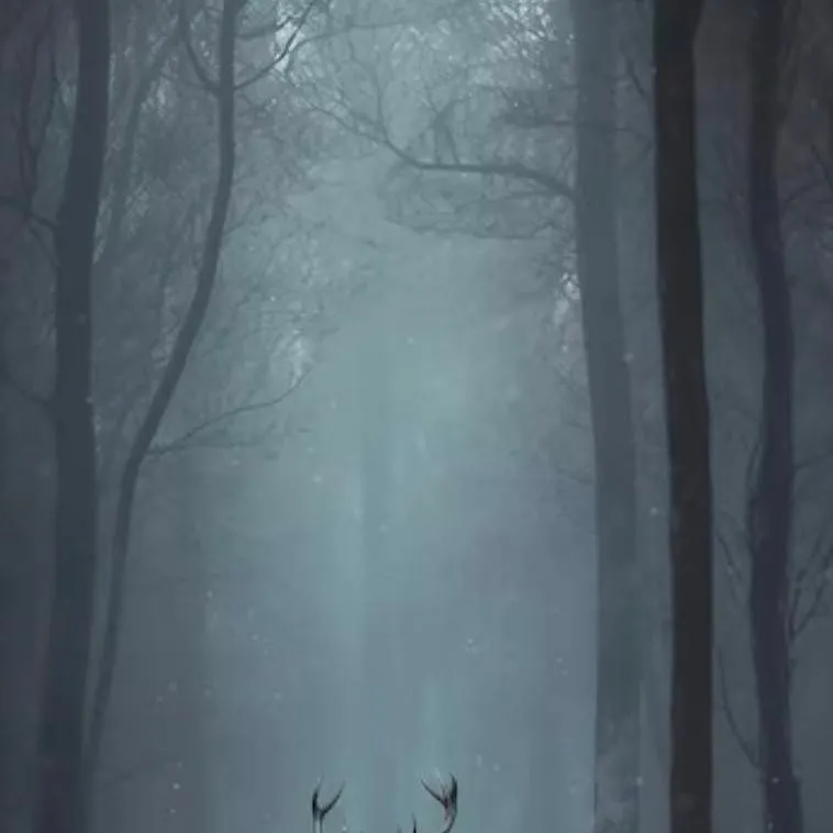 chat with ai character: 99 nächte im wald🌲