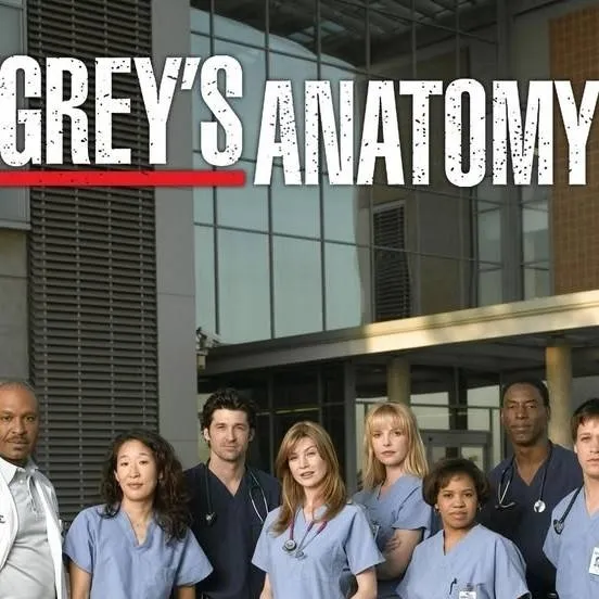 chat with ai character: greys anatomy 