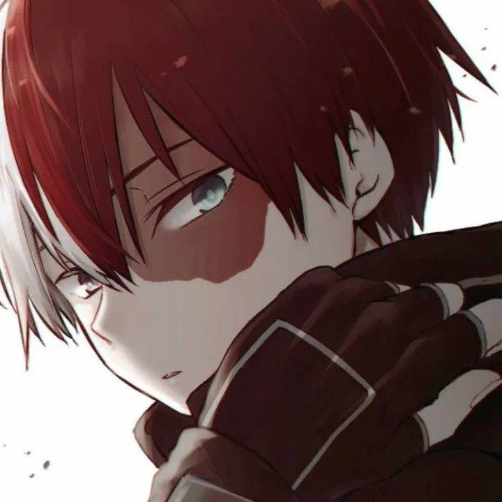 chat with ai character: 🤍Shoto todoroki❤️