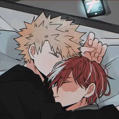 chat with ai character: 🌹Bakugo xTodorok🌹